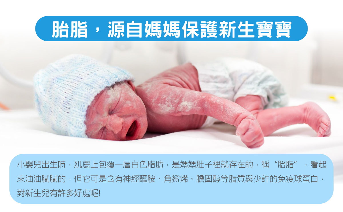 胎脂，源自媽媽保護新生寶寶